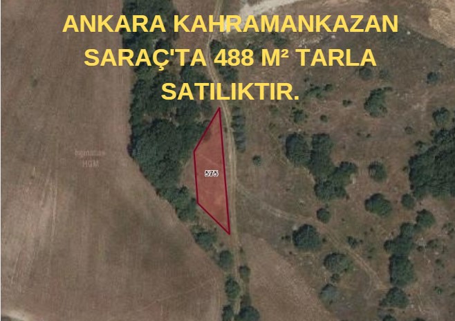 Fotoğraf